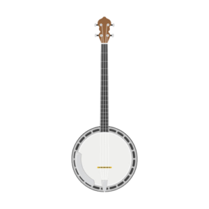 Banjo 4 cordes